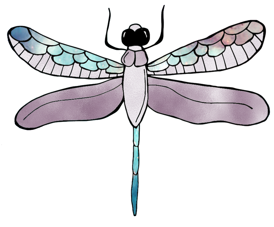 ASTRO & LUNA PLANNER DRAGONFLY