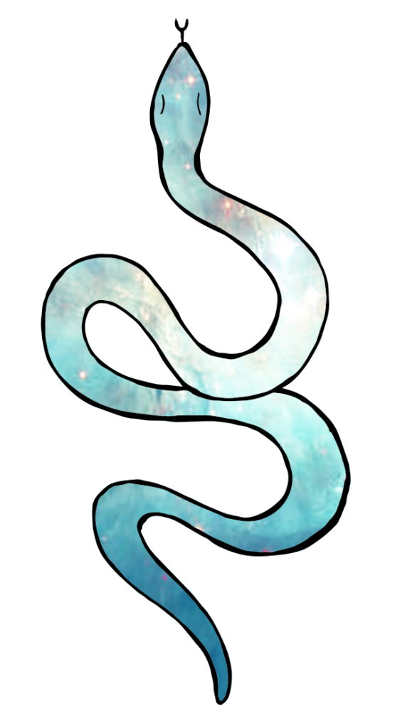 ASTRO & LUNA PLANNER SNAKE